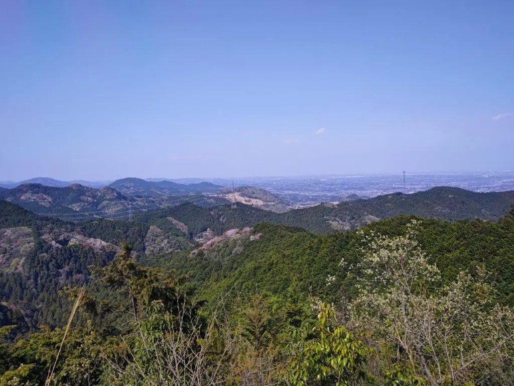 🏞️ 타네야마 고원(타네야마코겐) 이미지 2